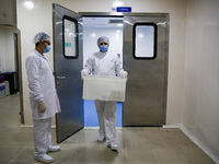 Laboratory technicians wearing full face masks and protective suits work to produce molnupiravir, the first tablet drug used to treat corona...