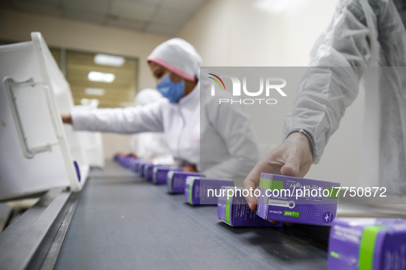 Laboratory technicians wearing full face masks and protective suits work to produce molnupiravir, the first tablet drug used to treat corona...