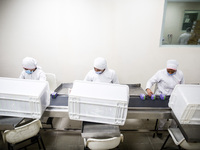 Laboratory technicians wearing full face masks and protective suits work to produce molnupiravir, the first tablet drug used to treat corona...