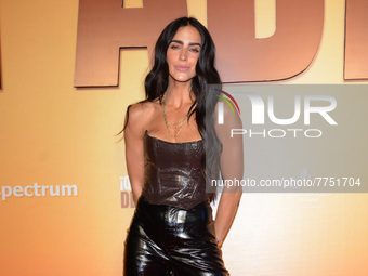 Actress Bárbara de Regil poses for photos during the red carpet of ‘Que Despadre’ film premiere at Cinepolis Gran Terraza Coapa. On February...