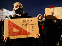 People attend 'Stop Lex Czarnek' protest at the Main Square in Krakow, Poland on February 15, 2022. So-called 'Lex Czarnek' proposed by the...