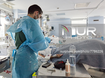 Intensive care wing with various pathologies, at Hospital Sao Joao, on the day the government presents relief from restrictions, on February...