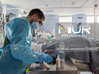 Intensive care wing with various pathologies, at Hospital Sao Joao, on the day the government presents relief from restrictions, on February...