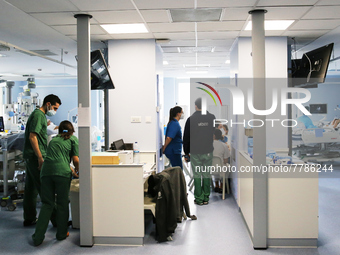 Intensive care wing with various pathologies, at Hospital Sao Joao, on the day the government presents relief from restrictions, on February...