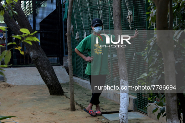 A caretaker stands outside an enclosure for cats at a rescue center acting as home for elderly, abandoned and rescued felines, on the occasi...