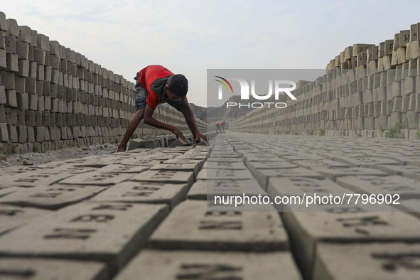 Children are working at a brickyard in Dhaka Bangladesh on February 20, 2022. 