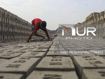 Children are working at a brickyard in Dhaka Bangladesh on February 20, 2022. (