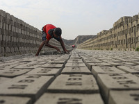 Children are working at a brickyard in Dhaka Bangladesh on February 20, 2022. (