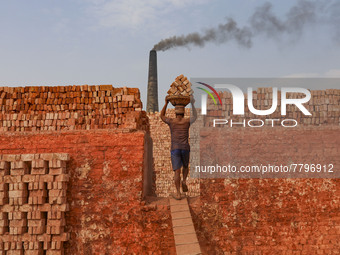 Workers are working at a brickyard in Dhaka Bangladesh on February 20, 2022.(