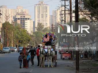 Men ride a horse cart used in wedding ceremonies to carry brides and grooms, at  a residential neighbourhood in Ghaziabad, on the outskirts...