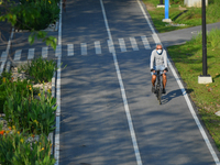 A man wearing a face mask as a preventive measure against the spread of COVID-19 rides a bicycle at the Benchakitti Forest Park on February...