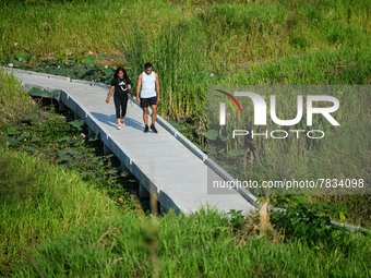 People are seen walking around the Benchakitti Forest Park on February 27, 2022 in Bangkok, Thailand. As Thailand COVID-19 situation today,...