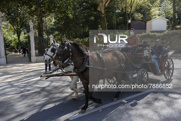 Tourists take a ride in a horse-drawn carriage through one of the streets in Sintra. 28 February 2022. According to the General Health Direc...