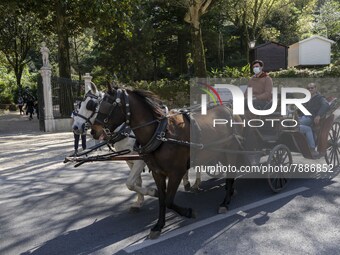 Tourists take a ride in a horse-drawn carriage through one of the streets in Sintra. 28 February 2022. According to the General Health Direc...