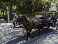 Tourists take a ride in a horse-drawn carriage through one of the streets in Sintra. 28 February 2022. According to the General Health Direc...