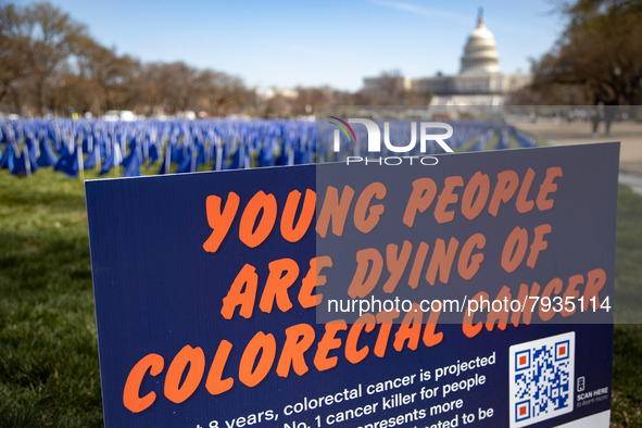 Blue flags are seen on the National Mall in Washington, D.C. on March 18, 2022 as part of the United In Blue art installation. The installat...