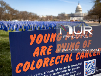 Blue flags are seen on the National Mall in Washington, D.C. on March 18, 2022 as part of the United In Blue art installation. The installat...