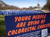 Blue flags are seen on the National Mall in Washington, D.C. on March 18, 2022 as part of the United In Blue art installation. The installat...