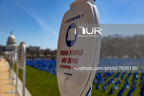 Blue flags are seen on the National Mall in Washington, D.C. on March 18, 2022 as part of the United In Blue art installation. The installat...