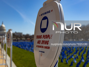 Blue flags are seen on the National Mall in Washington, D.C. on March 18, 2022 as part of the United In Blue art installation. The installat...