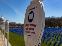 Blue flags are seen on the National Mall in Washington, D.C. on March 18, 2022 as part of the United In Blue art installation. The installat...