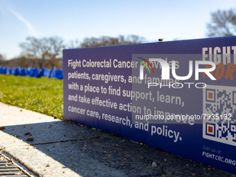 Blue flags are seen on the National Mall in Washington, D.C. on March 18, 2022 as part of the United In Blue art installation. The installat...