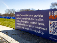 Blue flags are seen on the National Mall in Washington, D.C. on March 18, 2022 as part of the United In Blue art installation. The installat...