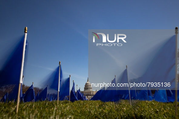 Blue flags are seen on the National Mall in Washington, D.C. on March 18, 2022 as part of the United In Blue art installation. The installat...