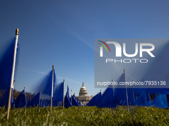 Blue flags are seen on the National Mall in Washington, D.C. on March 18, 2022 as part of the United In Blue art installation. The installat...