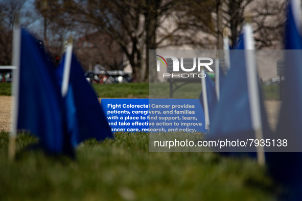 Blue flags are seen on the National Mall in Washington, D.C. on March 18, 2022 as part of the United In Blue art installation. The installat...