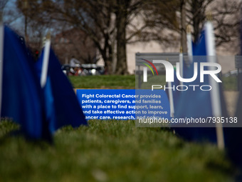 Blue flags are seen on the National Mall in Washington, D.C. on March 18, 2022 as part of the United In Blue art installation. The installat...