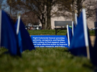 Blue flags are seen on the National Mall in Washington, D.C. on March 18, 2022 as part of the United In Blue art installation. The installat...