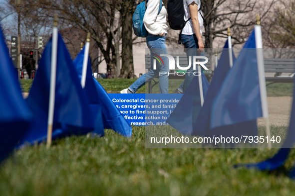 Blue flags are seen on the National Mall in Washington, D.C. on March 18, 2022 as part of the United In Blue art installation. The installat...