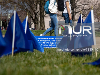 Blue flags are seen on the National Mall in Washington, D.C. on March 18, 2022 as part of the United In Blue art installation. The installat...