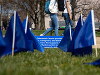 Blue flags are seen on the National Mall in Washington, D.C. on March 18, 2022 as part of the United In Blue art installation. The installat...