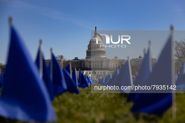 Blue flags are seen on the National Mall in Washington, D.C. on March 18, 2022 as part of the United In Blue art installation. The installat...