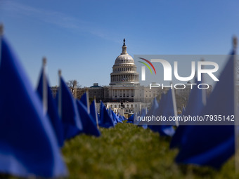 Blue flags are seen on the National Mall in Washington, D.C. on March 18, 2022 as part of the United In Blue art installation. The installat...