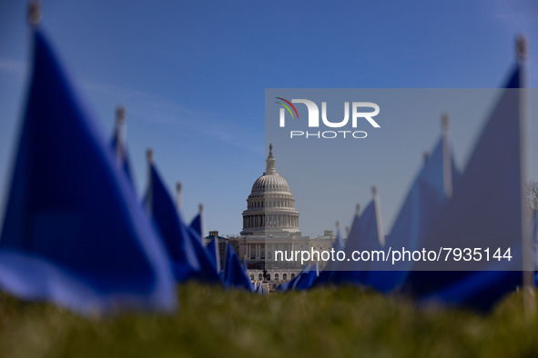 Blue flags are seen on the National Mall in Washington, D.C. on March 18, 2022 as part of the United In Blue art installation. The installat...