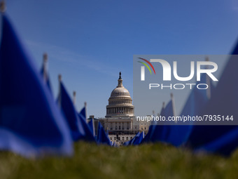 Blue flags are seen on the National Mall in Washington, D.C. on March 18, 2022 as part of the United In Blue art installation. The installat...