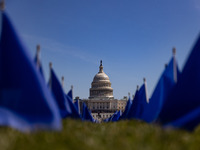 Blue flags are seen on the National Mall in Washington, D.C. on March 18, 2022 as part of the United In Blue art installation. The installat...