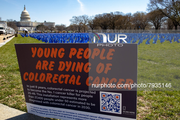 Blue flags are seen on the National Mall in Washington, D.C. on March 18, 2022 as part of the United In Blue art installation. The installat...