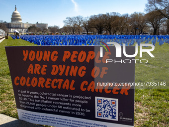 Blue flags are seen on the National Mall in Washington, D.C. on March 18, 2022 as part of the United In Blue art installation. The installat...