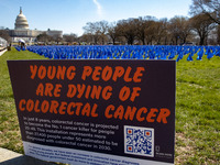 Blue flags are seen on the National Mall in Washington, D.C. on March 18, 2022 as part of the United In Blue art installation. The installat...