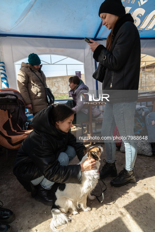 Ukrainian citizens are seen resting inside a tent, at the transit point for refugees in Palanca, south Moldova, on 2022-03-27. 