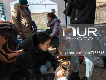 Ukrainian citizens are seen resting inside a tent, at the transit point for refugees in Palanca, south Moldova, on 2022-03-27. (