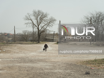 An Ukrainian woman is seen arriving by foot at the transit point for refugees in Palanca, south Moldova, on 2022-03-27. (