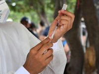 A health system officer prepares a dose of anti-Covid-19 vaccine in the sector of La Parada, near the city of Cúcuta on the Colombian-Venezu...