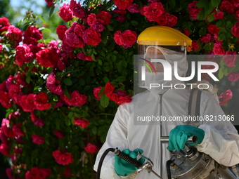 Health workers in the villages of Jindires conduct a campaign to spray pesticides to combat leishmaniasis (Aleppo bean), where the Aleppo mo...