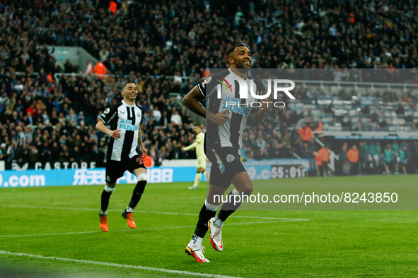 Callum Wilson of Newcastle United celebrates after scoring their sides first goal during the Premier League match between Newcastle United a...