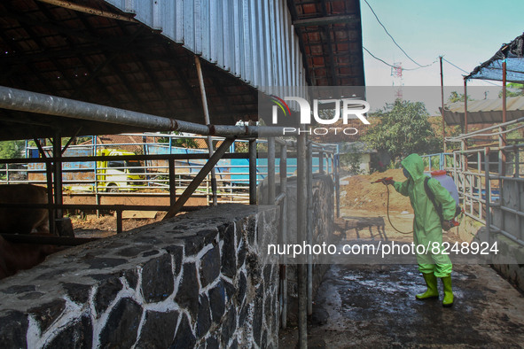 An officer is seen spraying disinfectant in the cage area to Prevention of the Spread of Mouth and Nail Disease (PMK) on May 18, 2022, in Ba...